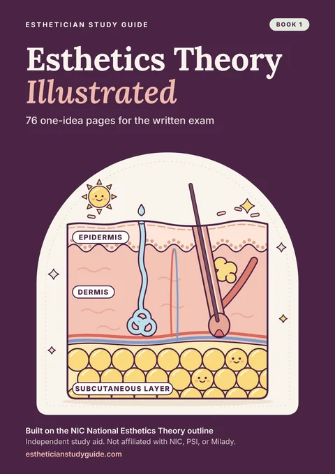 Book 1: Esthetics Theory Illustrated cover