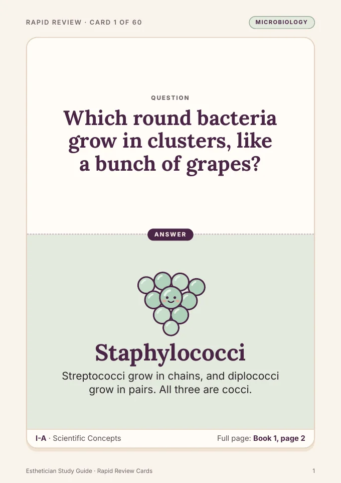 Book 2, card 1: which round bacteria grow in clusters? Staphylococci